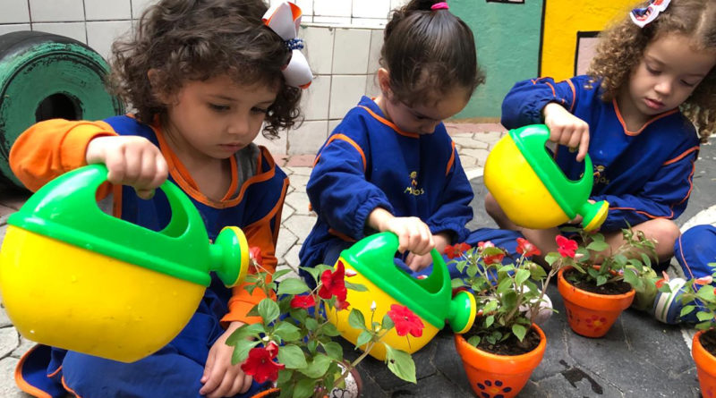 educação infantil