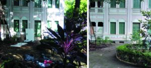 rua professor estevão pinto